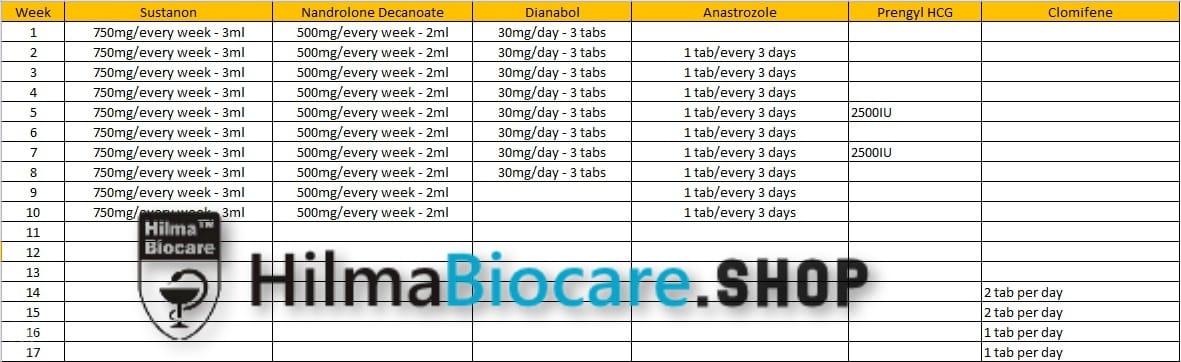 Classic 10 Week Mass Cycle – Dianabol/Sustanon/Nandrolone Decanoate - Image 2