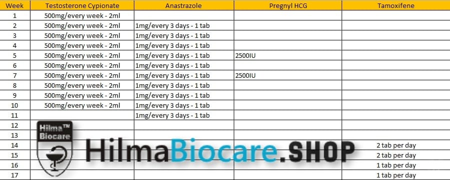 Basic 10 Week Mass Cycle – Testosterone Cypionate - Image 2