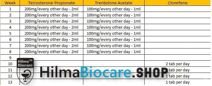 Classic 8 Week Cutting Cycle – Testosterone Propionate and Trenbolone Acetate - Image 2
