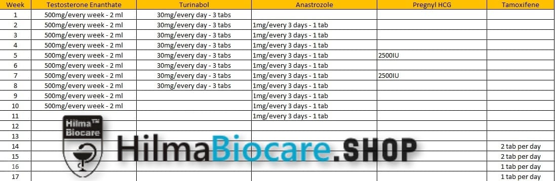 Lean Mass 10 Week Cycle – Testosterone Enanthate and Turinabol - Image 2