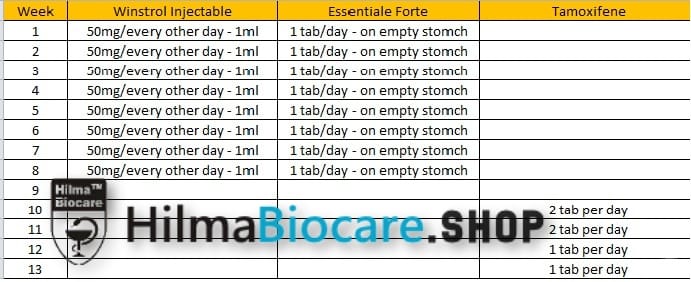 Basic 8 Week Cutting Cycle – Winstrol Injectable - Image 2